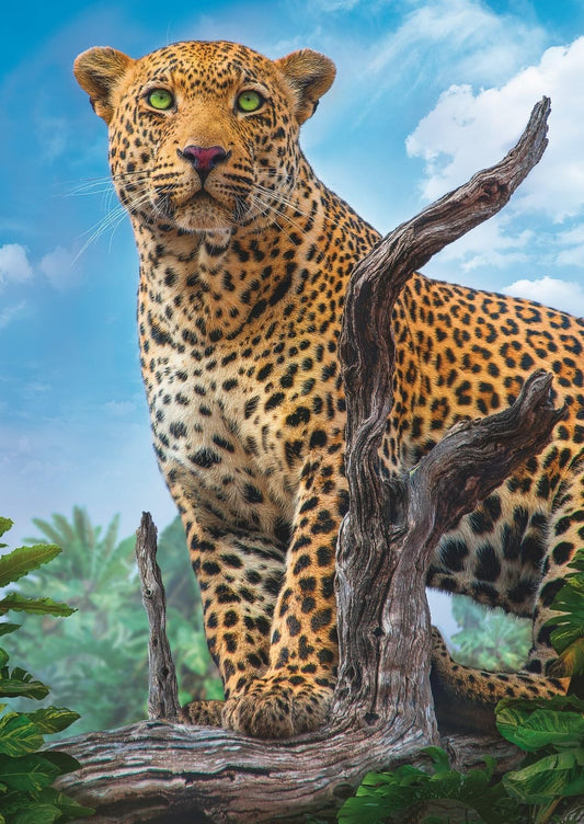 Puzzle 500 piese - Leopard in Savana