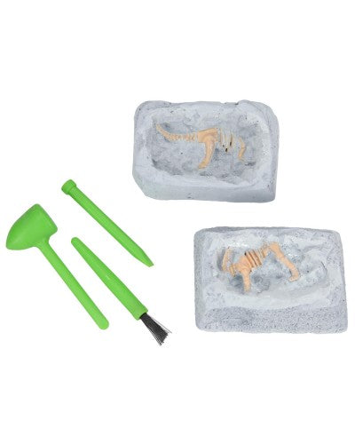 Dino World Set Paleontologie Mic