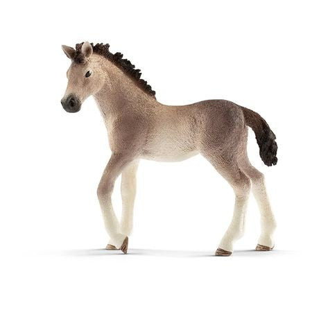 Manz Andalusian