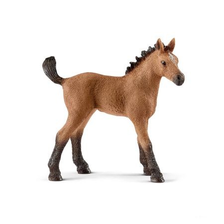 Figurina Schleich - MANZUL DE CARIERA - 13854