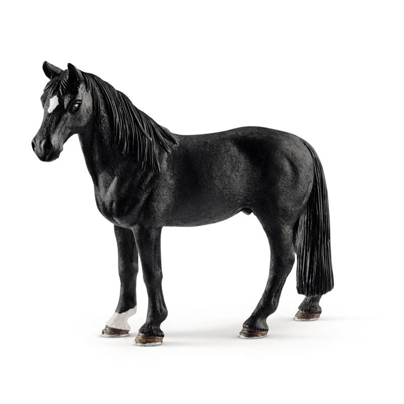 Tennessee Walker castrat