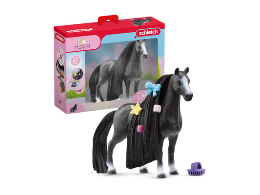 Beauty Horse Quarter Horse Mare