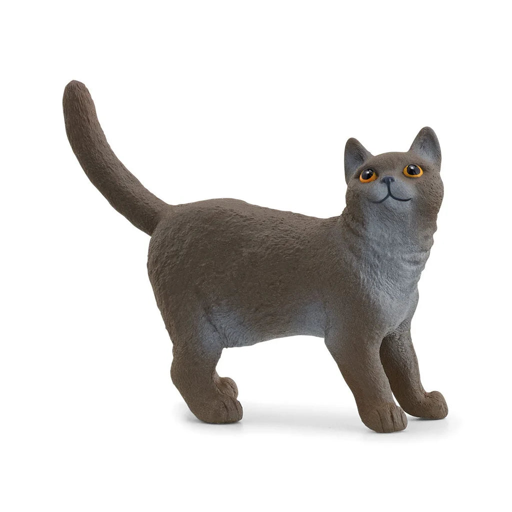 Figurina Schleich, Pisica British Shorthair