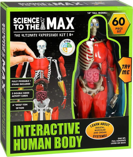 Science To The Max - Corp Uman Interactiv - 60 de piese / 4