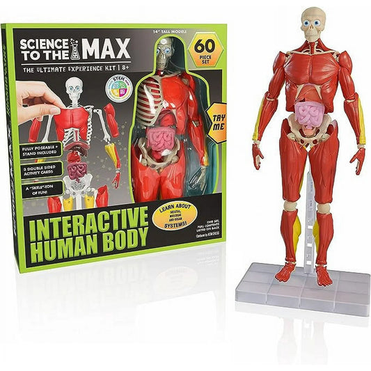 Science To The Max - Corp Uman Interactiv - 60 de piese / 4