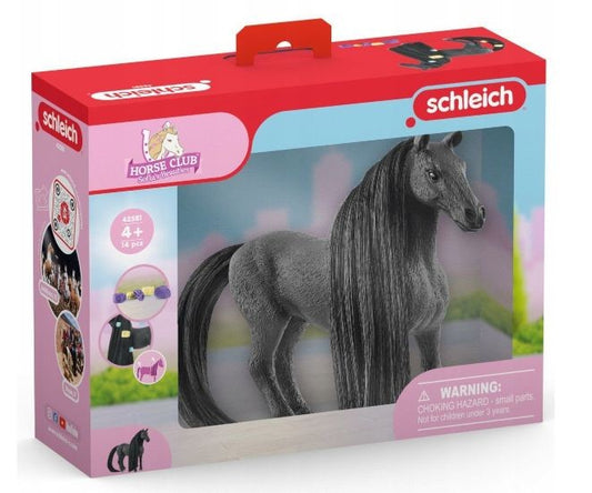 Beauty Horse Criollo Definitivo Mare