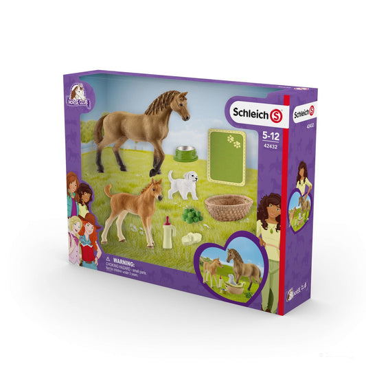 Set figurine Schleich, Set de ingrijire a animalelor pentru manz si catel
