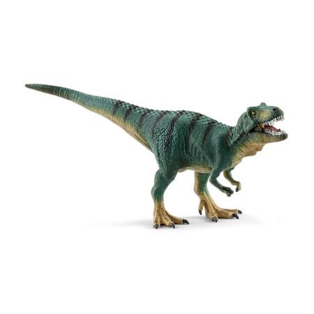 Tyrannosaurus Rex tanar