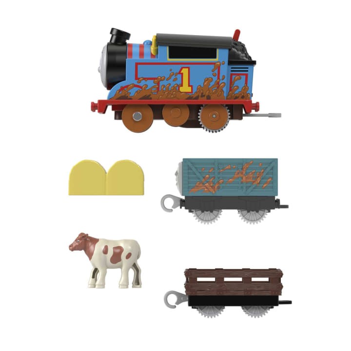 Locomotiva motorizata Muddy Thomas cu doua vagoane Thomas si Prietenii Track Master, 28.6 cm
